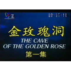 金玫瑰洞 四部全集 正大剧场 国语录制版